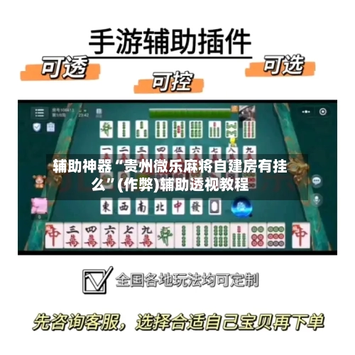 辅助神器“贵州微乐麻将自建房有挂么”(作弊)辅助透视教程-第3张图片