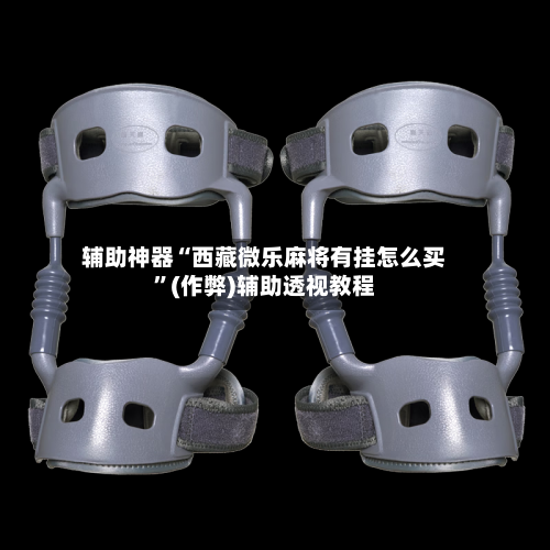 辅助神器“西藏微乐麻将有挂怎么买”(作弊)辅助透视教程