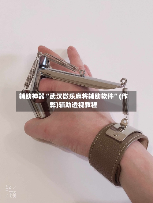 辅助神器“武汉微乐麻将辅助软件”(作弊)辅助透视教程