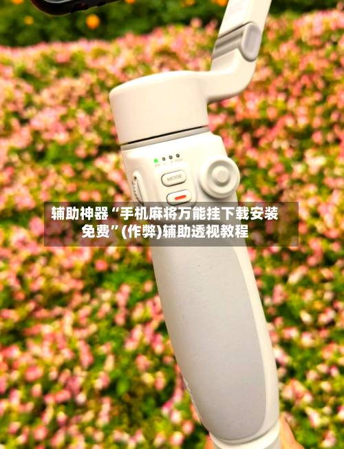 辅助神器“手机麻将万能挂下载安装免费”(作弊)辅助透视教程-第2张图片