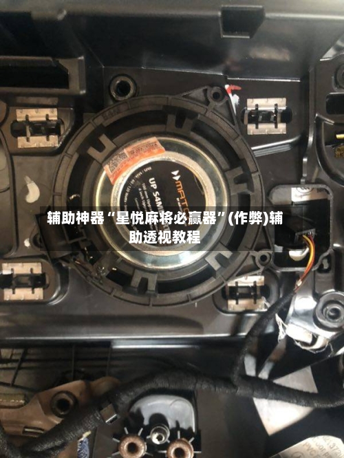 辅助神器“星悦麻将必赢器”(作弊)辅助透视教程-第2张图片