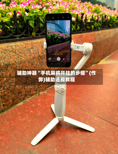 辅助神器“手机麻将开挂的步骤”(作弊)辅助透视教程