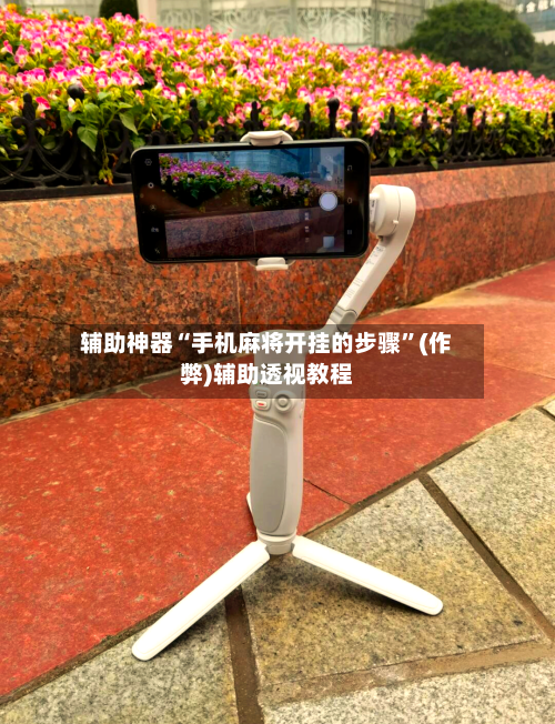 辅助神器“手机麻将开挂的步骤	”(作弊)辅助透视教程-第3张图片