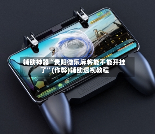 辅助神器“贵阳微乐麻将能不能开挂了”(作弊)辅助透视教程-第3张图片