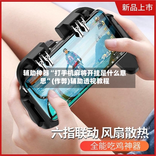辅助神器“打手机麻将开挂是什么意思	”(作弊)辅助透视教程-第3张图片
