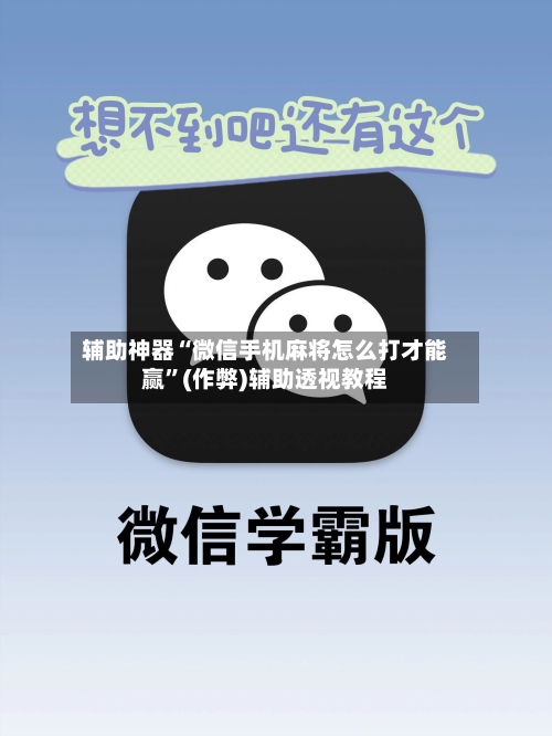 辅助神器“微信手机麻将怎么打才能赢”(作弊)辅助透视教程-第2张图片