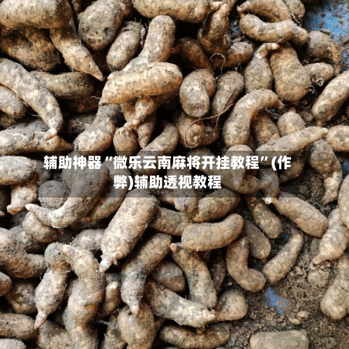 辅助神器“微乐云南麻将开挂教程”(作弊)辅助透视教程-第2张图片
