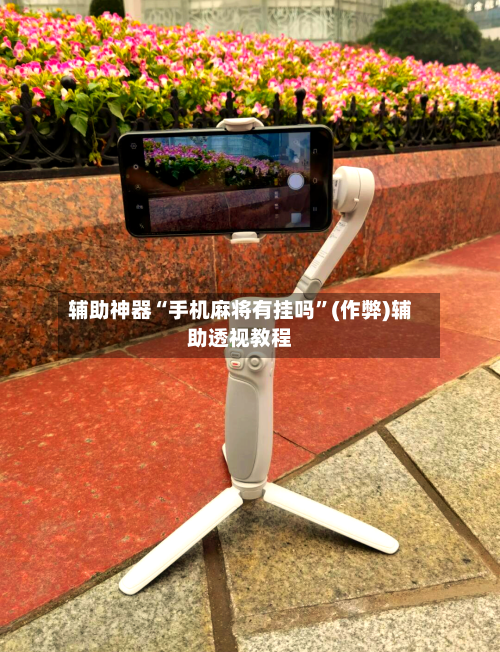 辅助神器“手机麻将有挂吗”(作弊)辅助透视教程-第3张图片
