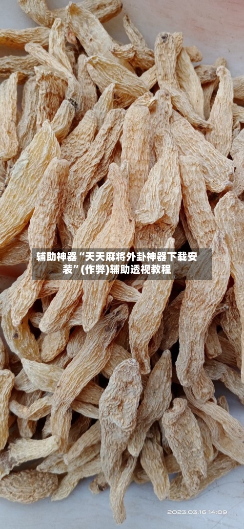 辅助神器“天天麻将外卦神器下载安装	”(作弊)辅助透视教程-第1张图片