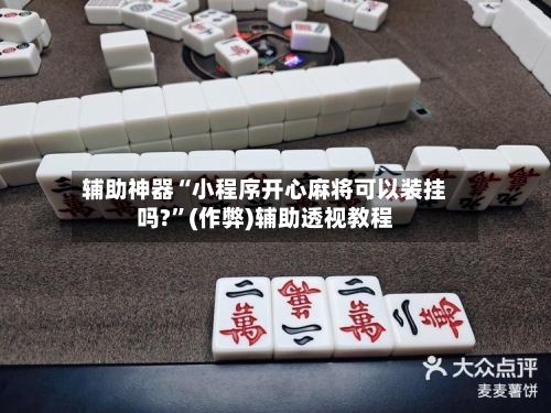 辅助神器“小程序开心麻将可以装挂吗?”(作弊)辅助透视教程-第2张图片