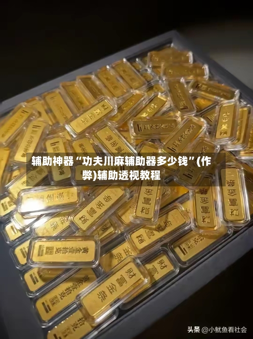 辅助神器“功夫川麻辅助器多少钱”(作弊)辅助透视教程-第3张图片