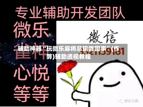 辅助神器“玩微乐麻将总输咋回事”(作弊)辅助透视教程-第3张图片