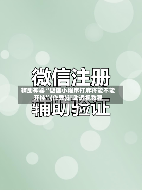 辅助神器“微信小程序打麻将能不能开挂”(作弊)辅助透视教程-第3张图片
