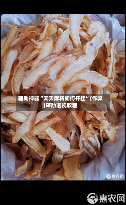 辅助神器“天天麻将如何开挂”(作弊)辅助透视教程-第2张图片
