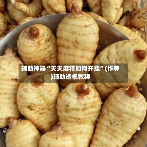 辅助神器“天天麻将如何开挂	”(作弊)辅助透视教程-第3张图片