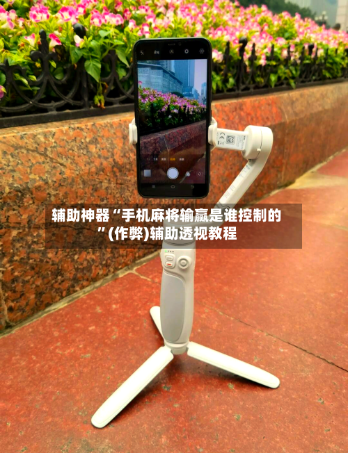 辅助神器“手机麻将输赢是谁控制的”(作弊)辅助透视教程-第3张图片