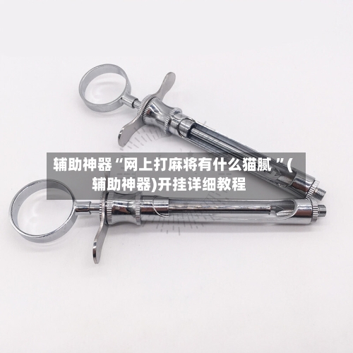 辅助神器“网上打麻将有什么猫腻 ”(辅助神器)开挂详细教程